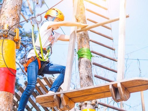 Scaffolding Safety and Training